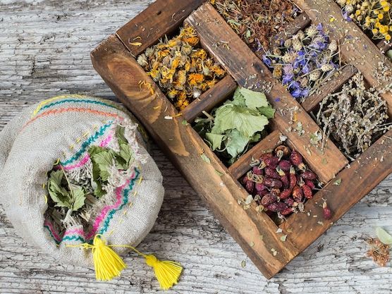 Tradycyjne zioła bałkańskie i ich właściwości lecznicze – naturalna moc Rodopów